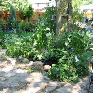 patio pond