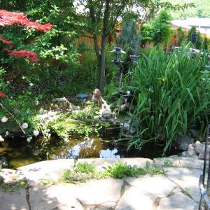 Side pond