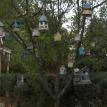 Bird houses